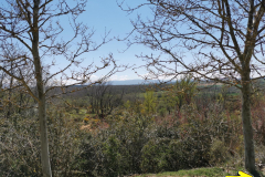 02.05.2019 13:42:55 