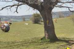 02.05.2019 13:45:17 