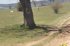 02.05.2019 13:45:19 