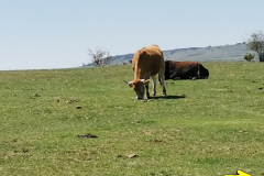 02.05.2019 13:46:28 