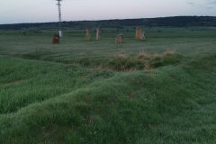 03.05.2019 07:02:31 