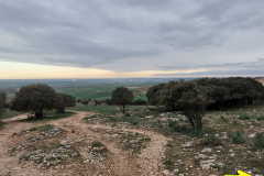 03.05.2019 07:53:18 