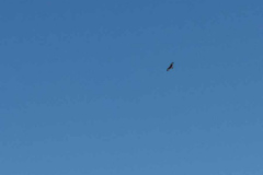 04.05.2019 17:37:19 