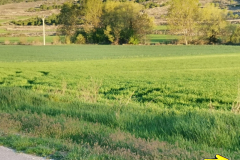 05.05.2019 07:49:44 