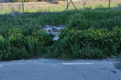 05.05.2019 08:26:59 