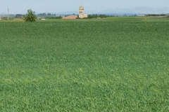 05.05.2019 12:10:54 