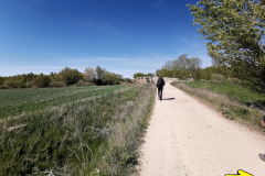 05.05.2019 12:23:16 