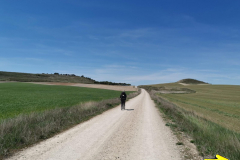 05.05.2019 13:32:43 