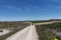 05.05.2019 13:38:51 
