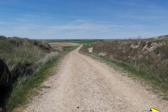 05.05.2019 13:38:57 
