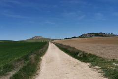05.05.2019 13:50:51 