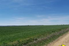 05.05.2019 14:02:44 