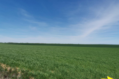 05.05.2019 14:02:47 
