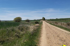 05.05.2019 14:18:48 