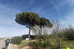 06.05.2019 10:55:05 