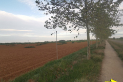 09.05.2019 07:55:45 