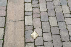 10.05.2019 07:54:14 