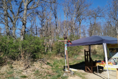 13.05.2019 10:08:00 