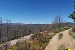 13.05.2019 11:53:20 