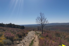 13.05.2019 11:56:17 