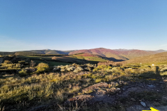14.05.2019 07:55:22 