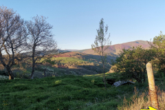 14.05.2019 08:02:28 