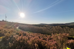 14.05.2019 08:34:49 