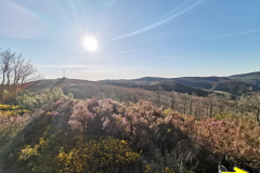 14.05.2019 08:42:04 