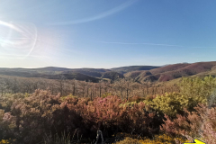 14.05.2019 08:42:06 