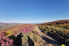 14.05.2019 08:45:56 