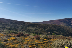 14.05.2019 09:06:40 