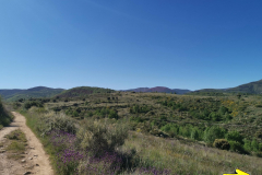 14.05.2019 10:37:49 
