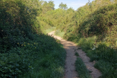 14.05.2019 10:54:24 