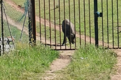 14.05.2019 11:06:05 