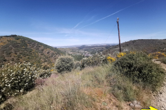 14.05.2019 11:29:55 