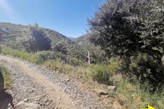 14.05.2019 11:30:15 