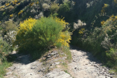14.05.2019 11:34:29 