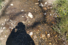 14.05.2019 11:38:22 