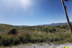 14.05.2019 12:38:56 