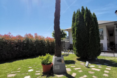 14.05.2019 14:36:09 