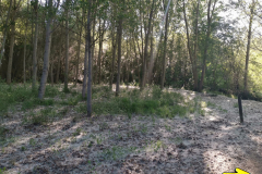 15.05.2019 09:42:15 