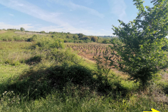 15.05.2019 09:49:40 