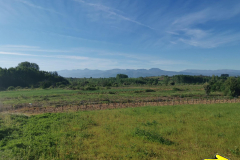 15.05.2019 09:51:51 