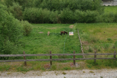 16.05.2019 10:32:49 