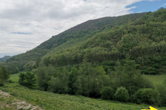 16.05.2019 12:02:24 