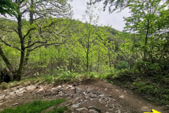 16.05.2019 12:55:02 