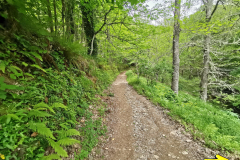 16.05.2019 12:57:36 