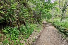 16.05.2019 12:58:42 
