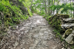 16.05.2019 13:01:41 