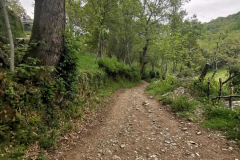 16.05.2019 13:07:01 